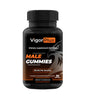VigorPlus EN