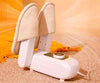 Shoes Dryer Pro a 248 LEU