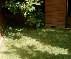 Aquagrazz a 19.906 HUF