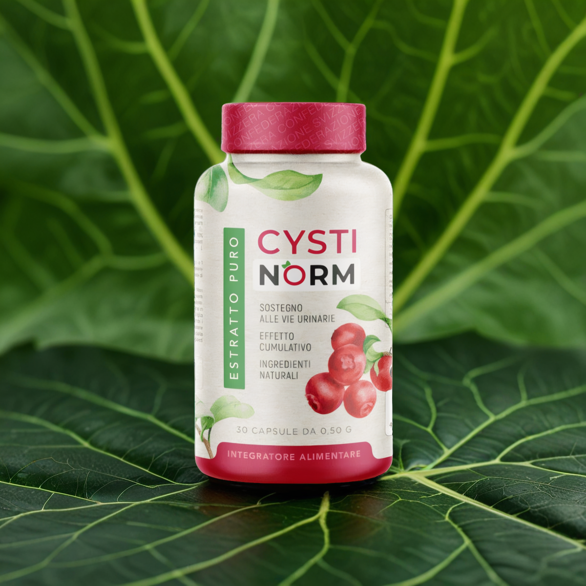 Cystinorm