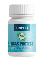 Incas Protect